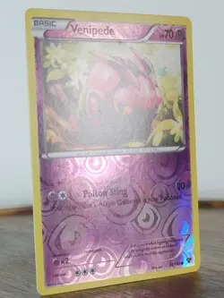 Venipede - XY base set - singles - 51/146 - Pokemon TCG - Reverse Holo - Image 4