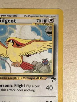 Pokemon Pidgeot TCG Southern Islands Promo Card 2/18 WOTC MP - Image 5