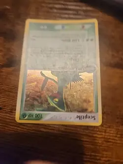 Sceptile - 4/17 - Pokemon Pop Series 1 Holo Card MP - Image 2