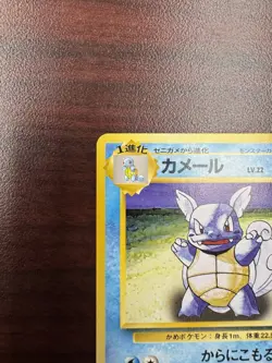 WARTORTLE - No. 008 - Japanese Base Set - Pokemon Card (NM-) - Image 3