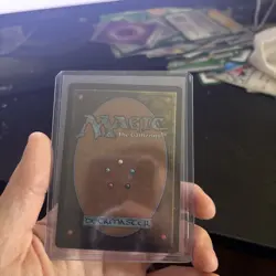 Ajani, Outland Chaperone (Borderless) Lorwyn Eclipsed Foil - Image 2