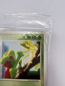 Pokemon Card Treecko 037/PCG-P Pokemon Center Yokohama Promo Card 2005 Japanese - Image 3