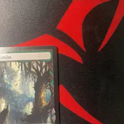 MTG Verdant Catacombs Zendikar Rising Expeditions 008/030 - Image 4