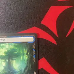 MTG Misty Rainforest Zendikar Rising Expedition 010/030 - Image 4