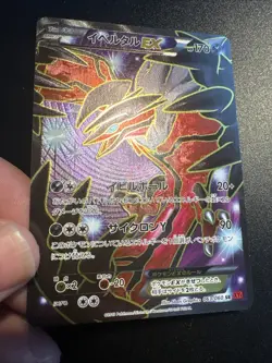 Yveltal EX 63/60 Holo Secret Rare Pokemon TCG Collection Y 2013 XY1 NM Japanese - Image 3