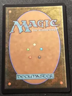 Traveling Chocobo - Borderless - Chocobo Track Foil - FIN - MTG - EN - NM - 0568 - Image 2