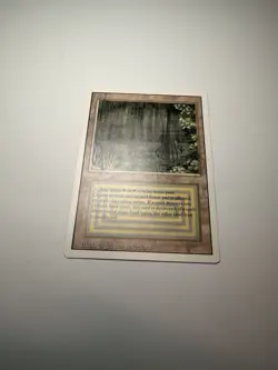 Bayou Revised Edition Regular - Image 1