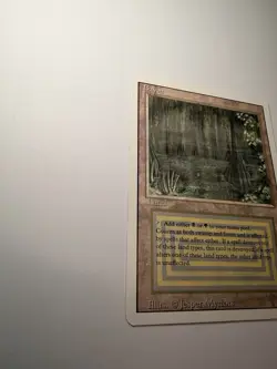 Bayou Revised Edition Regular - Image 2