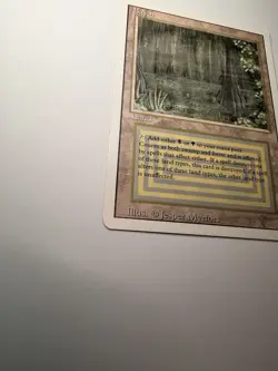 Bayou Revised Edition Regular - Image 3