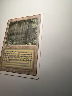 Bayou Revised Edition Regular - Image 4