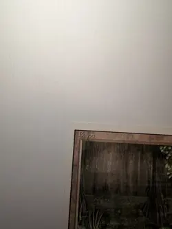 Bayou Revised Edition Regular - Image 5