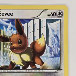 Eevee 90/116 Common BW Plasma Freeze LP Pokemon - Image 3