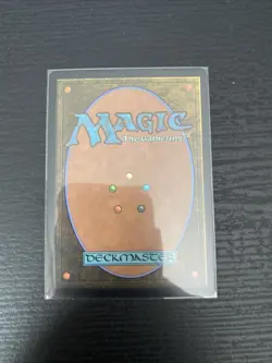 Vivi Ornitier LP MTG - Image 2