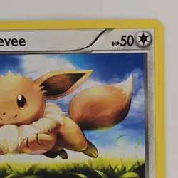 Eevee 80/111 Common XY Furious Fists LP Pokemon - Image 3