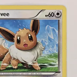 Eevee 89/116 Common BW Plasma Freeze LP Pokemon - Image 3
