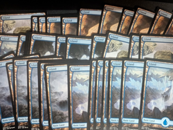 Lot of 200 - Battle for Zendikar BFZ Full Art Basic Lands - Image 3
