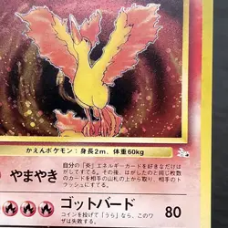 Moltres Holo Japanese No.146 Base Set Pokemon Card 1996 Vintage TCG Arita - Image 2