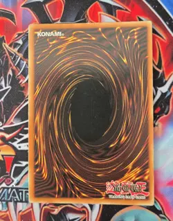 Dark Paladin (Reprint Artwork) MFC-105 Unlimited [LP] - Image 2