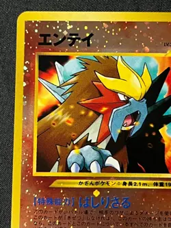 Pokemon Pocket Monster 1996 Entei 244 Neo 2 File Reverse Holo Japanese Mint NM+ - Image 4