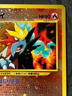 Pokemon Pocket Monster 1996 Entei 244 Neo 2 File Reverse Holo Japanese Mint NM+ - Image 5