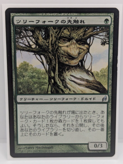 Treefolk Harbinger Lorwyn Japanese Regular Uncommon LP MTG - Image 1