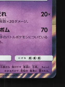 Garbodor 145/SM-P NM Sun & Moon Promos Japanese Pokemon Card TCG - Image 3