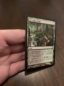 Gilt-Leaf Palace (Japanese) 268/301 Lorwyn Japanese - Image 4