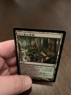 Gilt-Leaf Palace (Japanese) 268/301 Lorwyn Japanese - Image 5