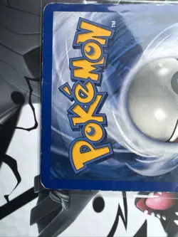 Pokemon 2001 Raticate Card Southern Islands #06/18, Regular Non-Holo - Image 5