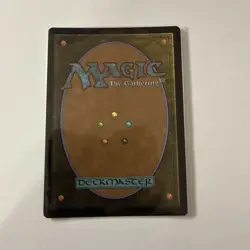 MTG: Signed By Artist - Spellseeker - Foil - Borderless Commander Masters - NM - Image 2