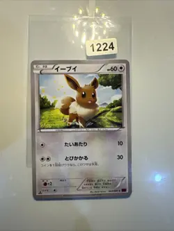 Eevee 063/081 1st ed XY7 Japanese Pokemon Card - Image 1