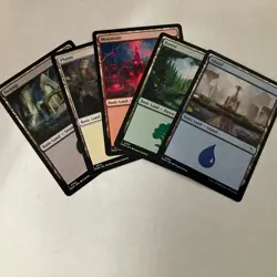1000 Basic MTG Lands Lot | Magic The Gathering | Mixed Sets | 200 Of Each Land - Image 1