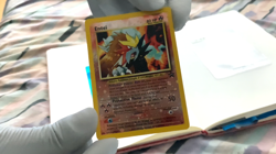 Entei NO. 244| Holographic Pokemon Trading Card - Image 4