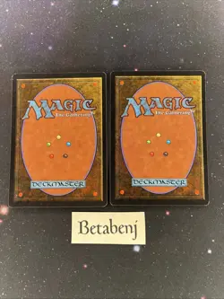 1x MTG Arabian Nights Sindbad from Estate Collection - Image 2