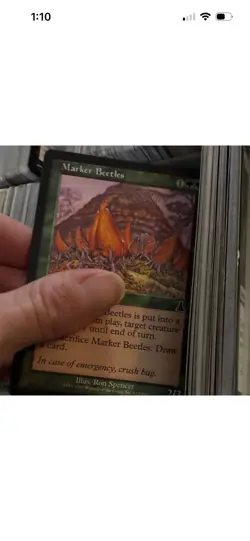 Magic: The Gathering Creature & Instant Card Lot - Marker Beetles, Mountain, Bo… - Image 2