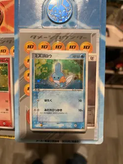 2003 Pokemon Treecko, Torchic, Mudkip Constructed Starter Deck Sealed Set SWIRL - Image 4