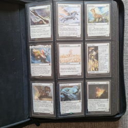 MTG - D&D: Adventures in the Forgotten Realms - Full Set in Binder - Image 2