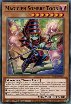 Yu-Gi-Oh! - Magicien Sombre Toon - EXC - FR - 1st - Image 1