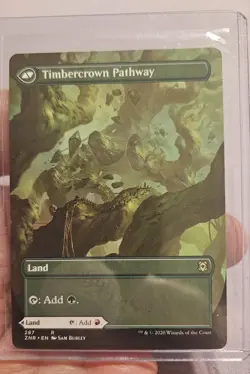 🔥 MTG - Cragcrown Pathway / Timbercrown Pathway - (Borderless) ZNR #494 M/NM 🔥 - Image 2