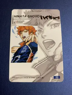 Hinata Shoyo Haikyu 23 Hero Doujin Anime Gold Foil Holo Art Card ACG Carddass - Image 2