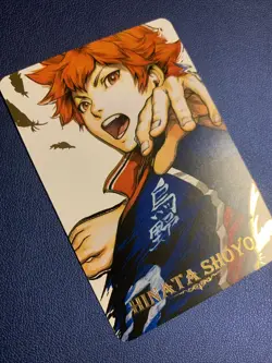 Hinata Shoyo Haikyu 23 Hero Doujin Anime Gold Foil Holo Art Card ACG Carddass - Image 4