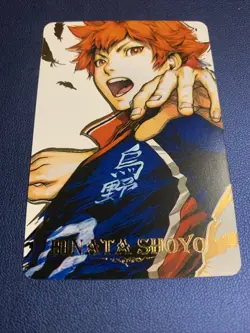 Hinata Shoyo Haikyu 23 Hero Doujin Anime Gold Foil Holo Art Card ACG Carddass - Image 5