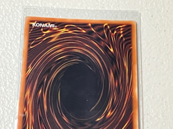 Yu-Gi-Oh! Bystial Dis Pater MP24-EN084 1st Edition NM - Image 5
