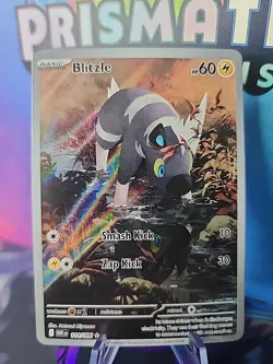 Pokemon TCG Blitzle Illustration Rare Holo White Flare English #114/086 NM+ - Image 1