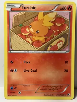 Torchic Holo RC5/RC25 Legendary Treasures Radiant Collection NM Pokemon FastShip - Image 1