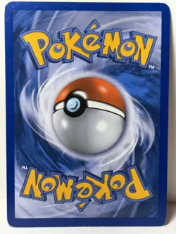 Torchic Holo RC5/RC25 Legendary Treasures Radiant Collection NM Pokemon FastShip - Image 2