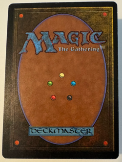 Savannah Revised Edition Regular - Image 2