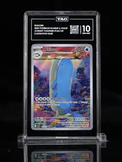 Wailord Illustration Rare #162 TAG 10 GEM MINT 2025 Pokemon Scarlet Violet - Image 1