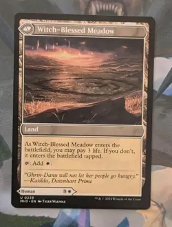 MTG Modern horizons 3 Uncommon WITCH ENCHANTER NM - Image 2