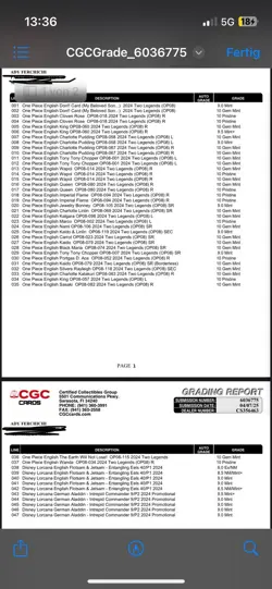 93 graded Cards/ TCG Sammlung/ Collection - Image 3